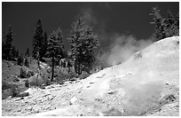 Sulphur works thermal area. Lassen Volcanic National Park, California, USA. (black and white)