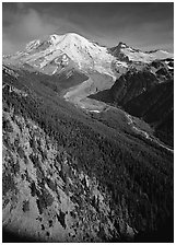 Valley fed by Mount Rainier glaciers, morning, Sunrise. Mount Rainier National Park ( black and white)