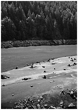 Tree stumps and river, North Cascades National Park Service Complex.  ( black and white)