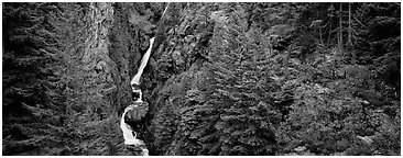 Waterfall in gorge surrounded by forest. North Cascades National Park (Panoramic black and white)