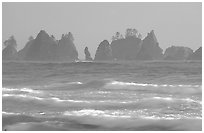 Waves and seastacks, Shi-Shi Beach. Olympic National Park ( black and white)
