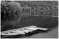 Emerald waters, pier and rowboats, Crescent Lake. Olympic National Park ( black and white)