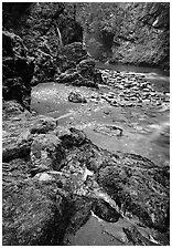 Mossy rocks and stream. Olympic National Park, Washington, USA. (black and white)
