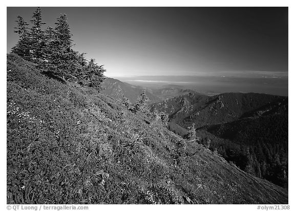 Looking towards  Strait of San Juan de Fuca from Hurricane hill. Olympic National Park (black and white)