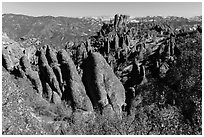 Monolith and colonnades. Pinnacles National Park ( black and white)