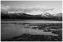 Flooded meadow in early spring at sunset, Tuolumne Meadows. Yosemite National Park ( black and white)