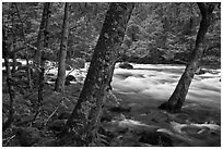 Merced River in the Spring, Happy Isles. Yosemite National Park ( black and white)