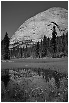 Half-Dome reflected in Lost Lake. Yosemite National Park, California, USA. (black and white)