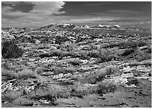 Petrified dunes, ancient dunes turned to slickrock, and La Sal mountains, winter afternoon. Arches National Park ( black and white)