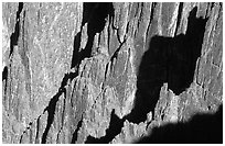 Detail of canyon wall from Kneeling camel view, North rim. Black Canyon of the Gunnison National Park, Colorado, USA. (black and white)