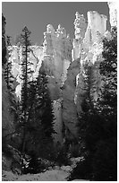 Hoodoos seen from  Queen's garden Trail. Bryce Canyon National Park ( black and white)