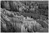 Glowing hoodoos in Queen's garden. Bryce Canyon National Park ( black and white)