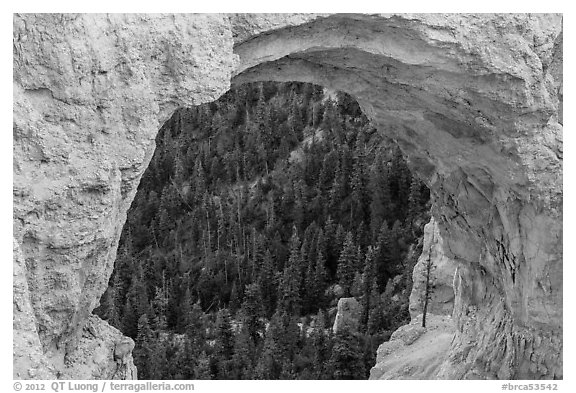 Forest seen through natural bridge. Bryce Canyon National Park (black and white)