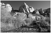 Freemont River and spring vegetation. Capitol Reef National Park ( black and white)