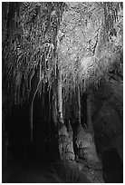 Soda Straws formations in Lehman Cave. Great Basin National Park ( black and white)
