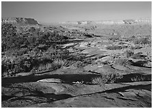 Rock slabs on  Esplanade, early morning. Grand Canyon National Park, Arizona, USA. (black and white)
