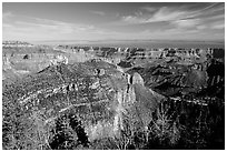 View from Roosevelt Point, morning. Grand Canyon National Park ( black and white)