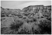Flowers and mesas in Surprise Valley near Tapeats Creek, dusk. Grand Canyon National Park, Arizona, USA. (black and white)