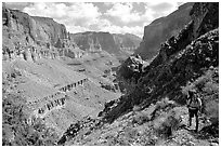 Backpacker on trail above Tapeats Creek. Grand Canyon National Park ( black and white)