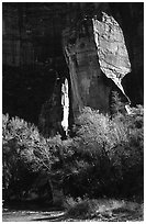 The Pulpit, Zion Canyon. Zion National Park ( black and white)