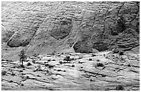 Sandstone checkboard patterns, Zion Plateau. Zion National Park ( black and white)
