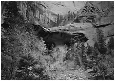 Double Arch Alcove, Middle Fork of Taylor Creek. Zion National Park ( black and white)