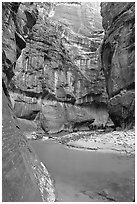 Bend of  Virgin Rivers in the Narrows. Zion National Park, Utah, USA. (black and white)