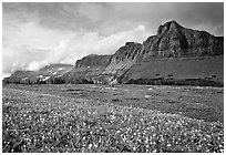 Garden wall from Logan pass. Glacier National Park, Montana, USA. (black and white)