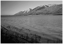 Teton range and Jackson Lake seen from Lizard Creek, early morning. Grand Teton National Park ( black and white)