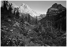 Meadow, wildflowers, and peaks at sunset. Grand Teton National Park ( black and white)