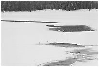 Frozen Oxbow Bend with trumpeters swans. Grand Teton National Park, Wyoming, USA. (black and white)
