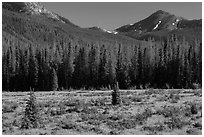 Meadow in Kawuneeche Valley. Rocky Mountain National Park, Colorado, USA. (black and white)