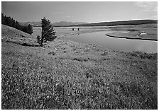 Meadow and bend of the Yellowstone River, Hayden Valley. Yellowstone National Park, Wyoming, USA. (black and white)