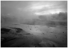 Steam in Norris Geyser Basin at dawn. Yellowstone National Park, Wyoming, USA. (black and white)