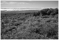 Mauna Loa forested slope and Halemaumau summit. Hawaii Volcanoes National Park, Hawaii, USA. (black and white)