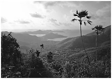 View over East end of island. Virgin Islands National Park, US Virgin Islands. (black and white)