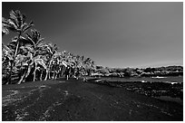 Black sand beach at Punaluu. Big Island, Hawaii, USA (black and white)