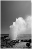 Stream of water shooting up from blowhole. Kauai island, Hawaii, USA (black and white)