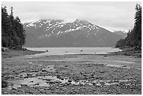 Cove and Passage Canal Fjord. Whittier, Alaska, USA (black and white)