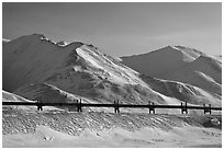 Trans Alaska Pipeline and snow-covered mountains. Alaska, USA (black and white)