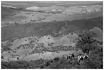 Group of Hikers descending slopes, Mt Diablo State Park. California, USA ( black and white)