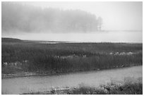Humbolt Lagoon in the fog. California, USA ( black and white)