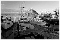 Harbor and Morro Rock, early morning. Morro Bay, USA (black and white)