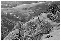 Couple sitting on hillside in early spring, Sunol Regional Park. California, USA ( black and white)