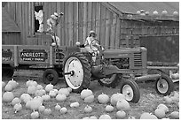 Green tractor, pumpkins, figures, and barn. Half Moon Bay, California, USA ( black and white)