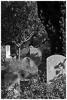 Headstones in the garden of Mission San Francisco de Asis. San Francisco, California, USA (black and white)