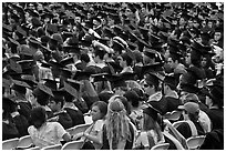 Graduates in academic regalia. Stanford University, California, USA (black and white)