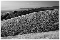 Hills, Santa Teresa County Park. California, USA ( black and white)