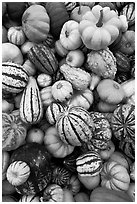 Mix of squash and gourds. Half Moon Bay, California, USA ( black and white)