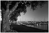 Marina at sunset, Vallejo. San Pablo Bay, California, USA (black and white)